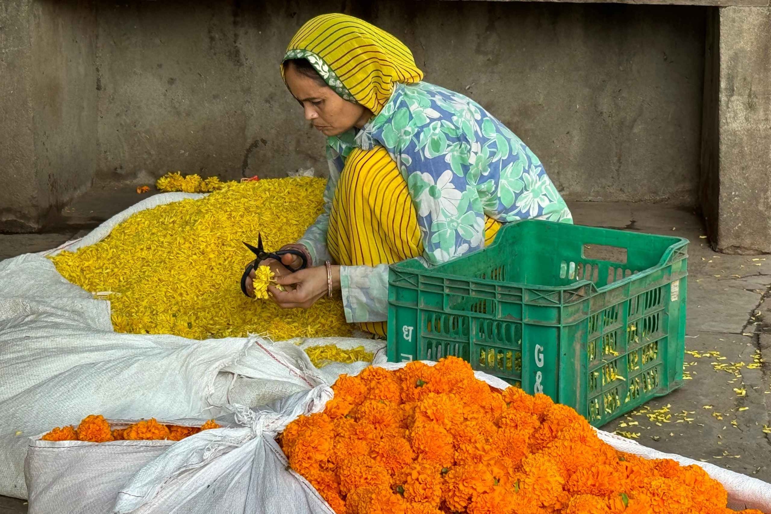 新鮮な花で早朝の美しさを楽しむ