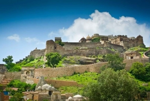 Udaipur: 2-Day Private Tour