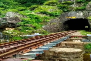 Udaipur : Voyage à bord du train historique Valley Queen