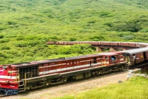 Udaipur : Voyage à bord du train historique Valley Queen