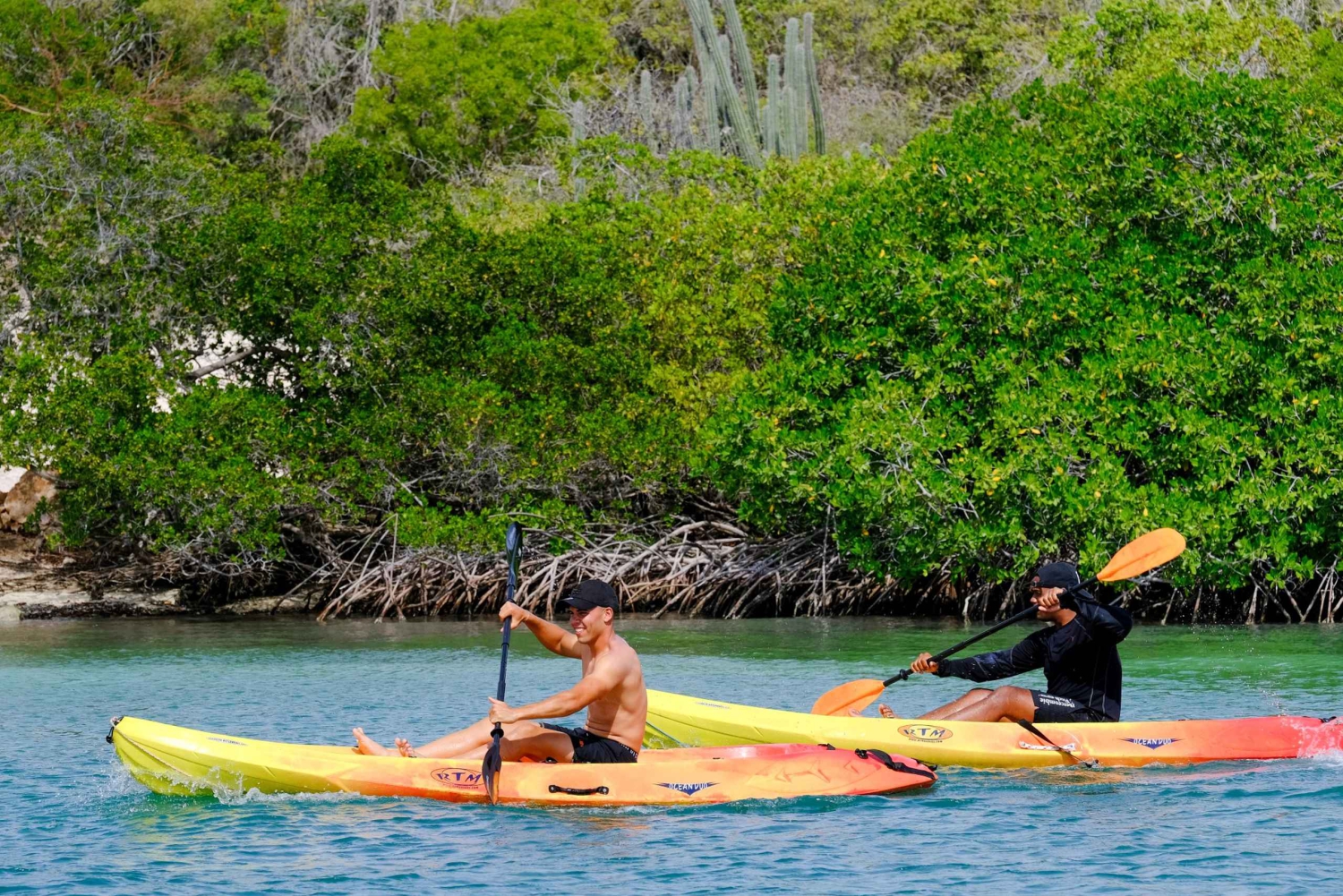 2-timmars kajaktur i Curacao