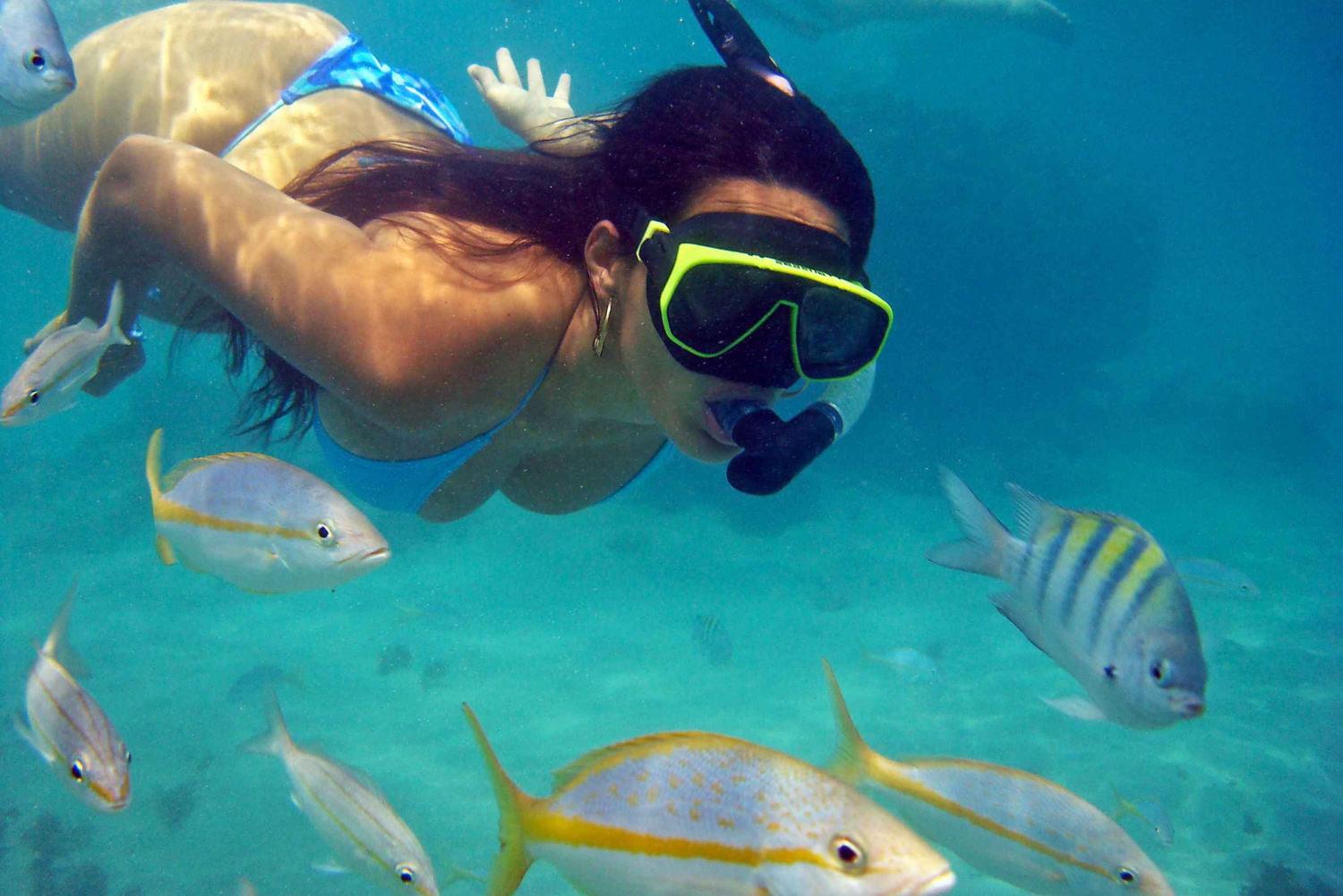 Dagtrip naar Búzios vanuit Rio de Janeiro