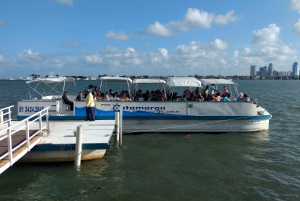 Tour della città di Recife con catamarano incluso