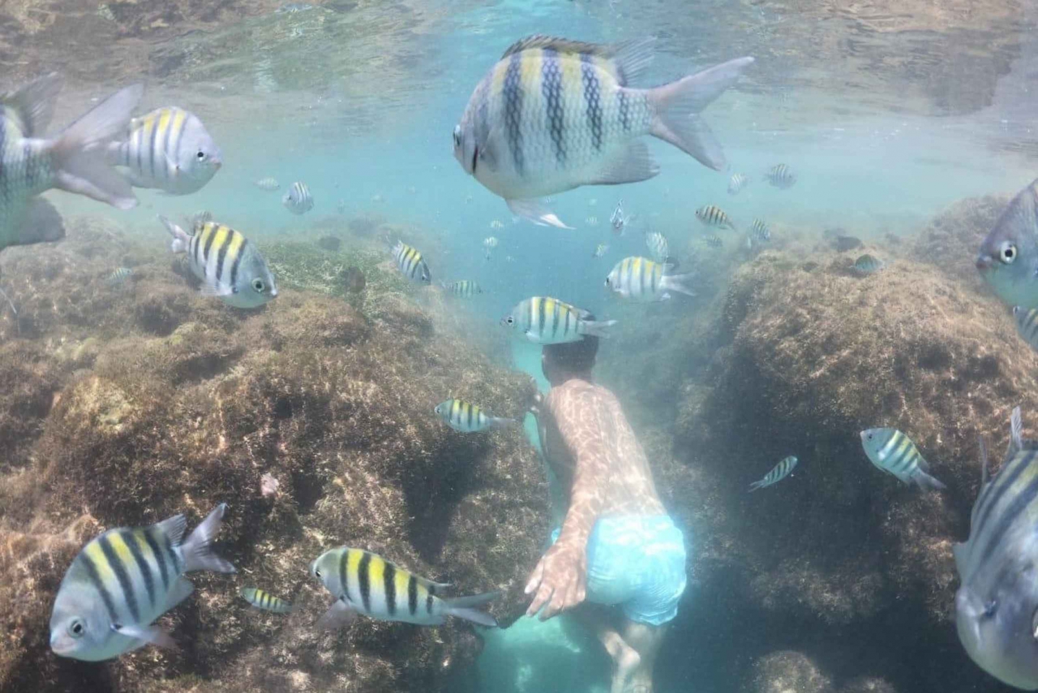 Recifestä: Rantapäivä Porto de Galinhasissa Jangadan kanssa sis.