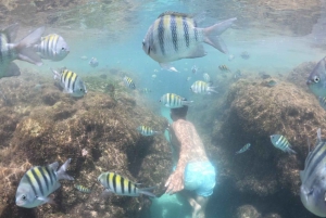 Vanuit Recife:Stranddag in Porto de Galinhas met Jangada incl.