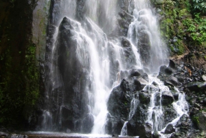 Full-Day 4x4 Nordeste Azores Tour from Ponta Delgada