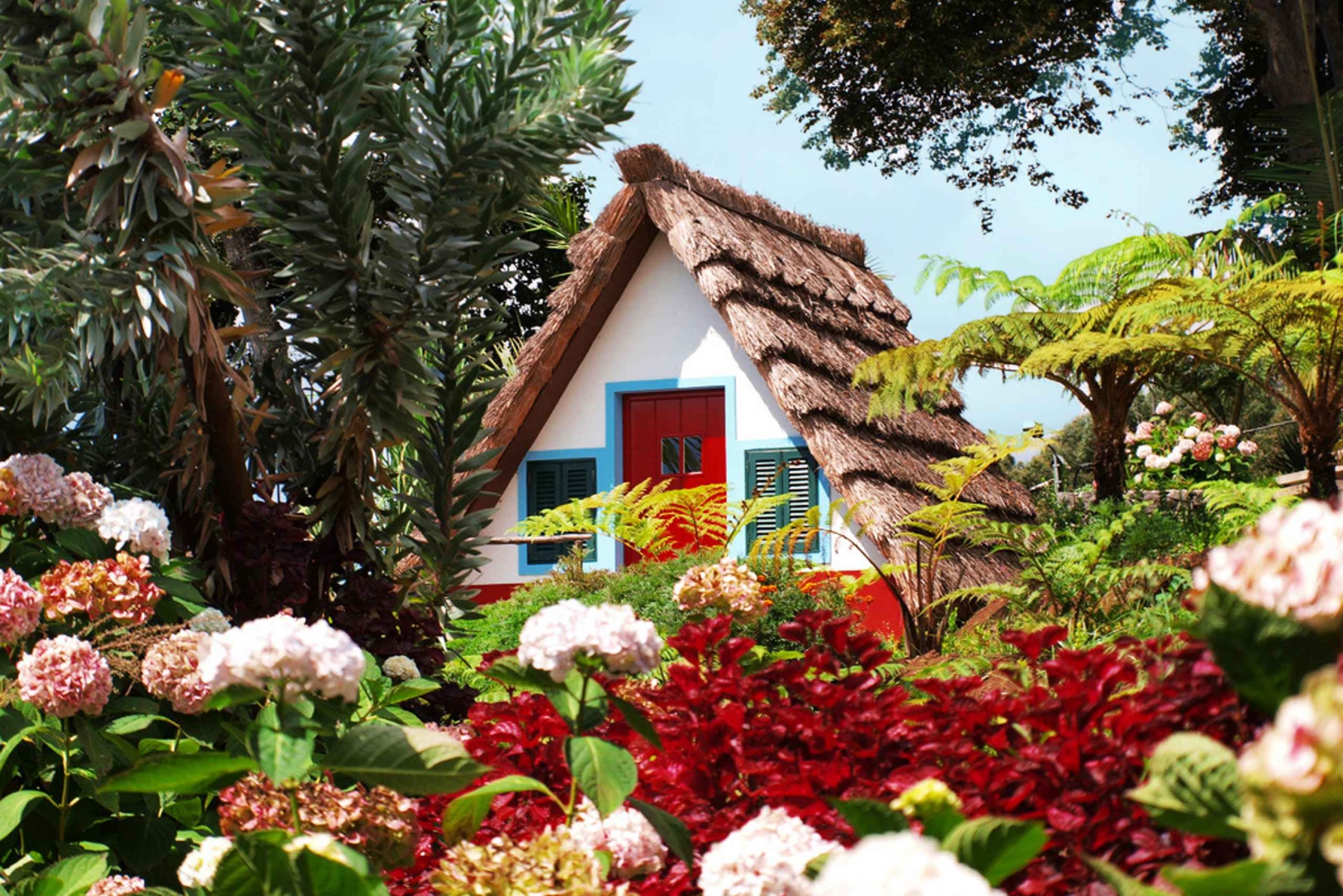 Tour por el este de la isla de Madeira y paseo por las levadas