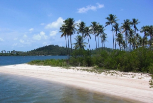 Recife: Excursión a Carneiros con Paseo en Catamarán