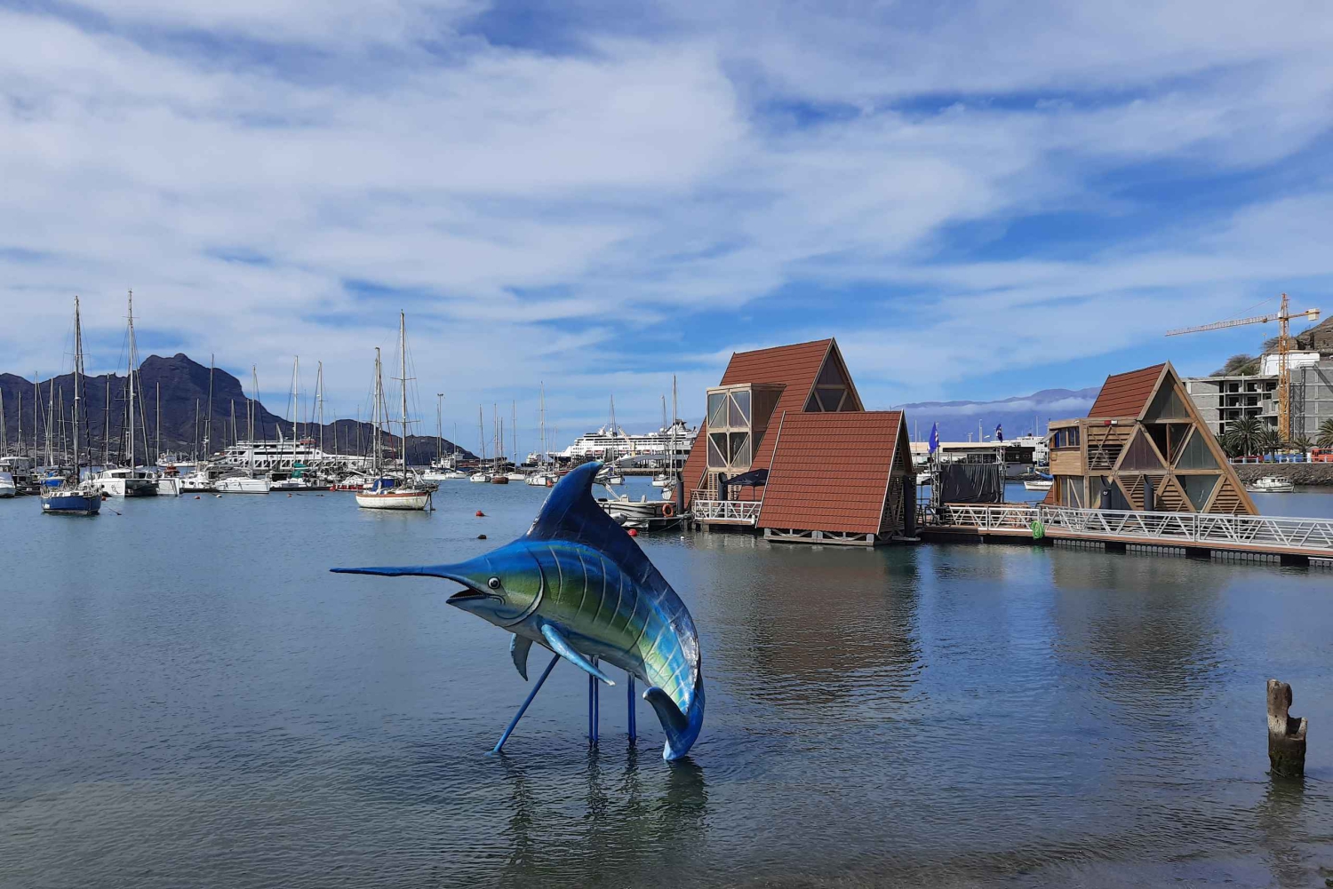 São Vicente: Turer till marknader, stränder och naturparker