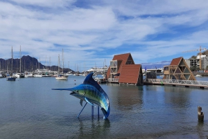 São Vicente: Markten, stranden en natuurpark tour