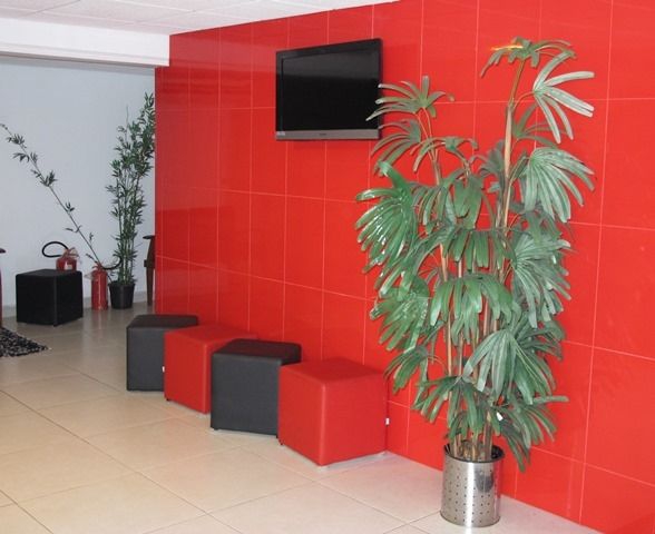 Tay San - Restaurante