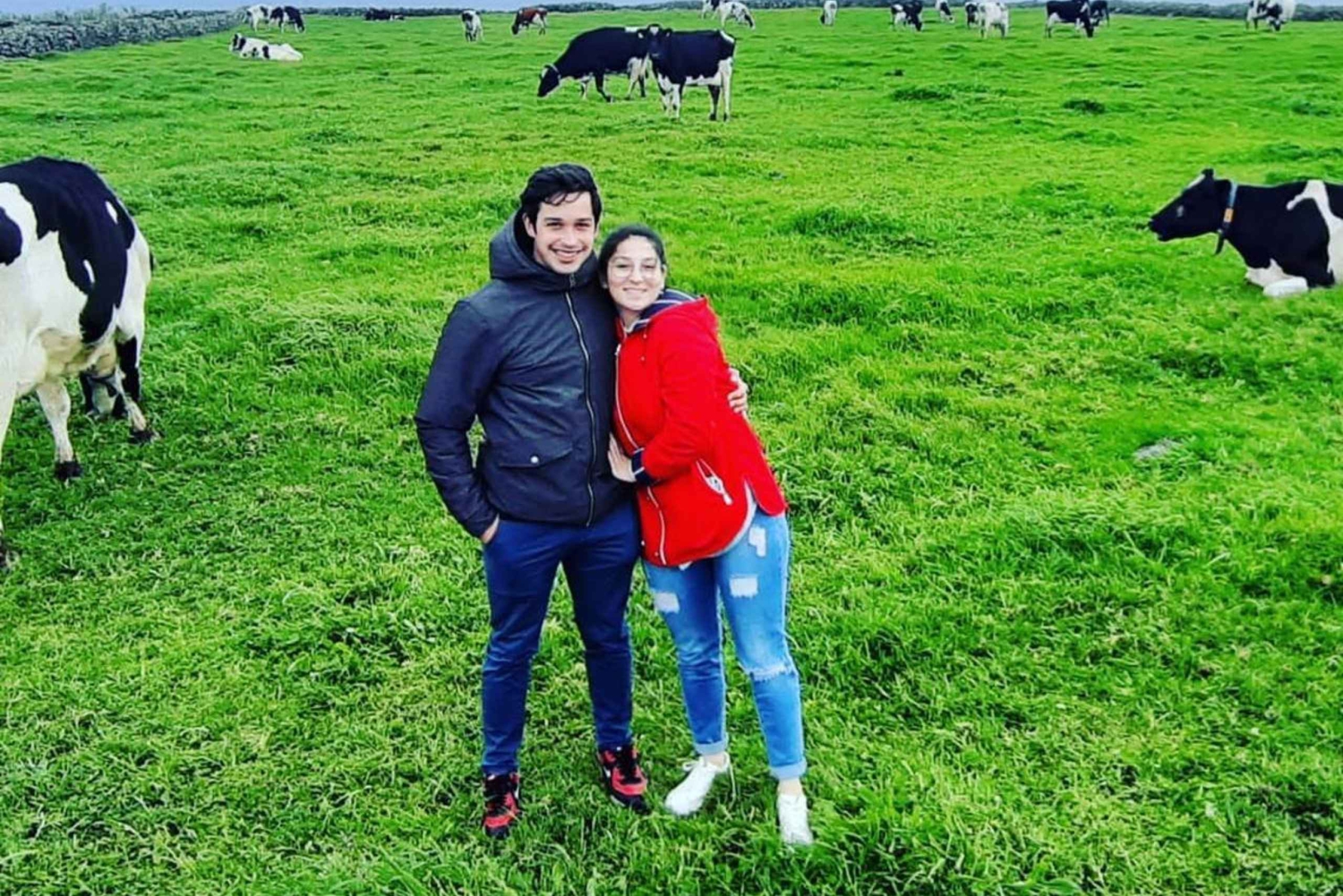 Wyspa Terceira: Całodniowa wycieczka vanem