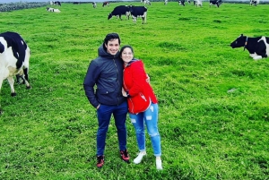 Terceira Island: Full Day Van Tour