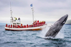 From Reykjavik: 6-Day Icelandic Ring Road Tour