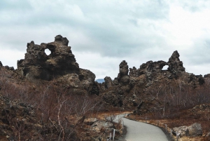 From Reykjavik: 6-Day Icelandic Ring Road Tour