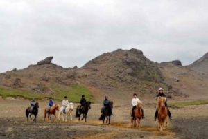 From Reykjavik: Full-Day Horse Riding & Golden Circle Tour