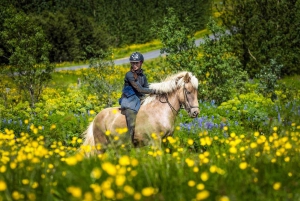 From Reykjavik: Full-Day Horse Riding & Golden Circle Tour