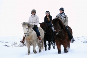 From Reykjavík: Icelandic Horse Riding Tour in Lava Fields