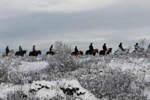 From Reykjavík: Icelandic Horse Riding Tour in Lava Fields