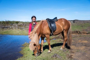 From Reykjavík: Icelandic Horse Riding Tour in Lava Fields