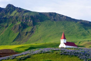 From Reykjavik: South of Iceland Full-Day Trip