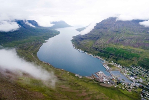 Fra Reykjavík: 7-dagers reise rundt på Island i liten gruppe