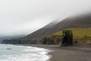 Fra Reykjavík: 7-dagers reise rundt på Island i liten gruppe