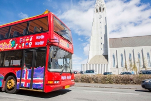 Reykjavik: Hop-on hop-off-bustur