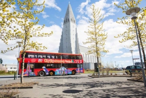 Reykjavik: Hop-on hop-off-bustur