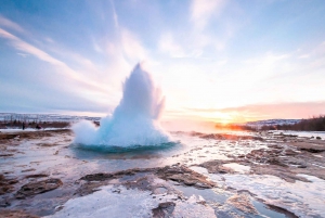 Reykjavik: Den Gyldne Cirkel, Kerid og Fridheimar Minibus Tour