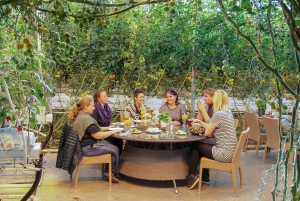 Reykjavik: Golden Circle, Kerið, & Fridheimar Minibus Tour