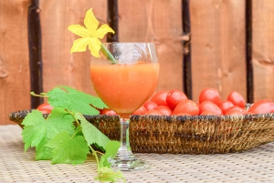 Reykjavik: Golden Circle, Kerið, & Fridheimar Minibus Tour