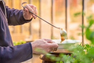 Reykjavik: Golden Circle, Kerið, & Fridheimar Minibus Tour