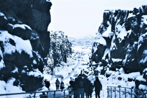 Reykjavik: Golden Circle, Kerið, & Fridheimar Minibus Tour