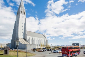 Reykjavik: Hop-on hop-off-bustur