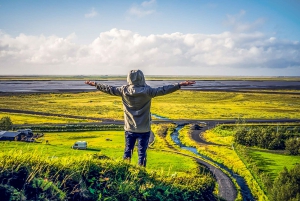Reykjavik: Jökulsárlón Glacier Lagoon Full-Day Guided Trip