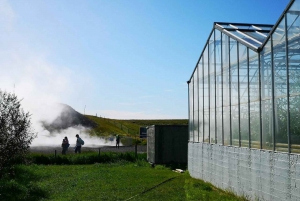 Reykjavik: Lava Cave, Hot Springs, and Waterfalls Tour