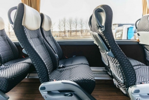 Reykjavik: Roundtrip Bus Transfer to the Blue Lagoon