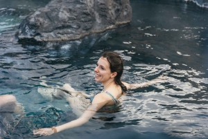 Reykjavik: Sky Lagoon Admission with Transfer