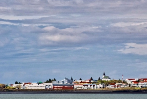 Reykjavik: Snaefellsnes Peninsula and Kirkjufell Day Trip