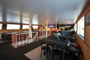 Reykjavík: Whale Watching and Marine Life Cruise