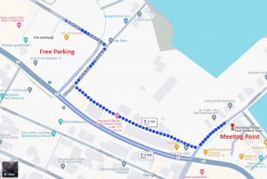 Reykjavík: Whale Watching and Marine Life Cruise