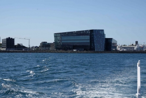 Reykjavík: Whale Watching and Marine Life Cruise