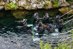 Silfra: Fissure Snorkeling Tour with Underwater Photos