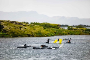 Silfra: Fissure Snorkeling Tour with Underwater Photos