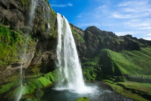 South Coast Classic: Full-Day Tour from Reykjavik