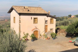 Strada del Vino di Frascati da Roma: Degustazione e pranzo