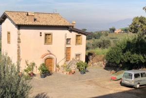 Frascati Wine Road from Rome: Tasting & Lunch