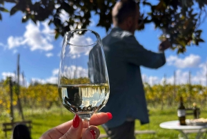 Au départ de Rome : Visite d'une demi-journée à Frascati avec déjeuner à la ferme