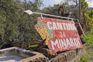 Au départ de Rome : Visite d'une demi-journée à Frascati avec déjeuner à la ferme